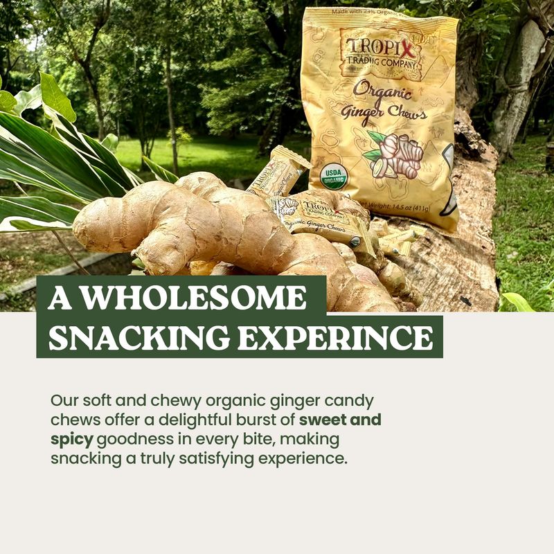 Tropix Trading Company Organic Ginger Chews - Sweet and Spicy, Made with Fresh USDA Organic Ginger, Non-GMO, No Added Flavorings, Vegan, Gluten-Free