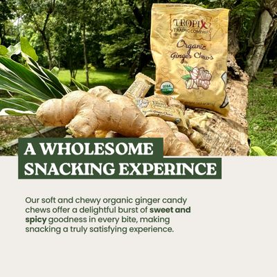 Tropix Trading Company Organic Ginger Chews - Sweet and Spicy, Made with Fresh USDA Organic Ginger, Non-GMO, No Added Flavorings, Vegan, Gluten-Free
