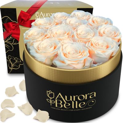Aurora Belle Forever Roses in a Box - 12 Real Preserved Roses in Black Velvet Gift Box with Gold Detail, Fragrance-Free Floral Arrangement for Lasting Decorative Display
