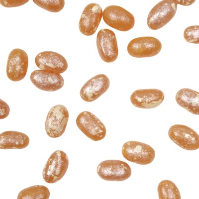 Jelly Belly Harry Potter Butter Beer Jelly Beans, Small Glass with Butterscotch Candies, 1.2 Ounces