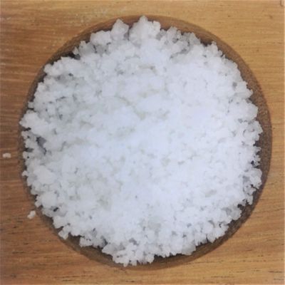 Celtic Sea Salt Gourmet Kosher, 16 Ounce