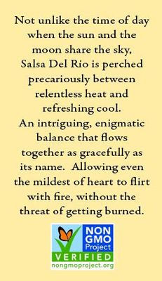 Desert Pepper Salsa Del Rio, Medium, 16-Ounce (1 Pack)