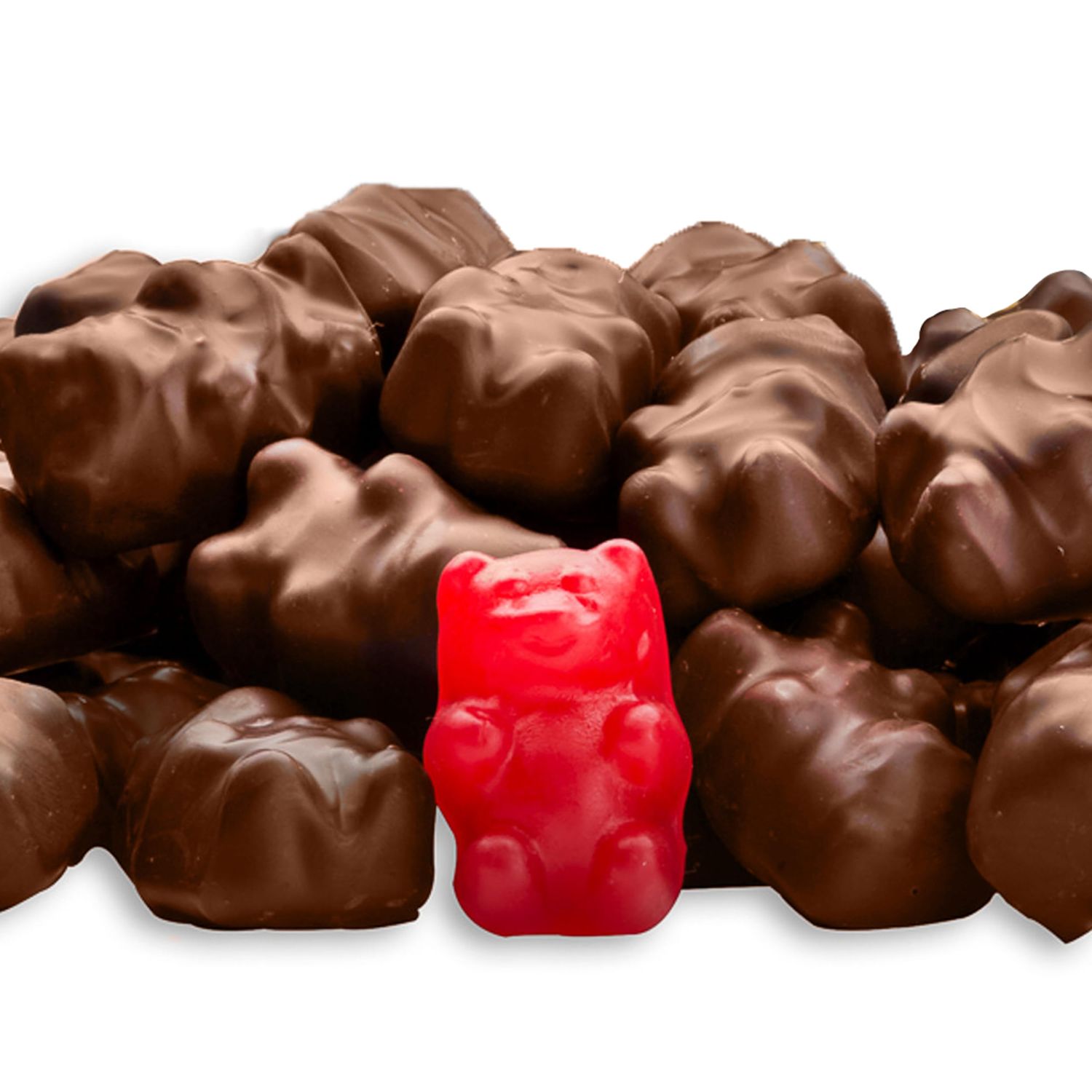 Chocolate Cinnamon Bears Candy - By CandyKorner (1 Pound)