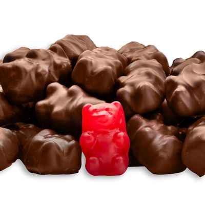 Chocolate Cinnamon Bears Candy - By CandyKorner (1 Pound)