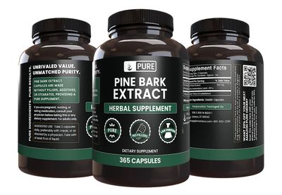 PURE ORIGINAL INGREDIENTS Pine Bark Extract (365 Capsules) No Magnesium Or Rice Fillers, Always Pure
