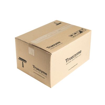 truezyme Active Enzyme Volume and Scalp Shampoo 300 ml X 35EA I 10.1 fl. oz. X 35EA Korean Premium Haircare with Fermented Botanical Extract