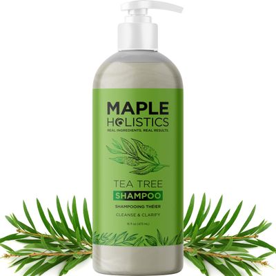 Clarifying Shampoo for Build Up Oily Hair - Tea Tree Shampoo for Men and Women with Rosemary Essential Oil for Oily Hair and Scalp - Color Safe Vegan Sulfate Silicone Paraben Free (16 Fl Oz)