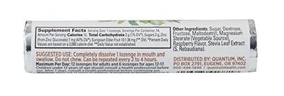 Quantum Health TheraZinc Elderberry Roll, Raspberry Lozenges, Made with Zinc Gluconate for Immune Support, 14 Count