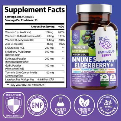 2 Pack N1N Premium 10 in 1 Immune Support Supplement 10 Potent Ingredients with Elderberry, Vitamin C, Zinc, Echinacea, Turmeric Curcumin, Garlic and Probiotics for Adults, 120 Veg Caps