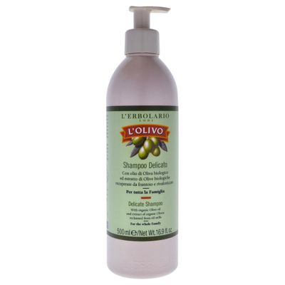 LErbolario L&#39;Olivo Delicate Shampoo, 16.9 oz - With Olive Oil Extract - Aromatic Scent - Moisturizes and Nourishes - For Smooth Hair - Cruelty-Free