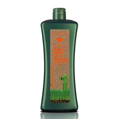 Salerm Biokera Shampoo for Treated Hair - 36.1 ozliter