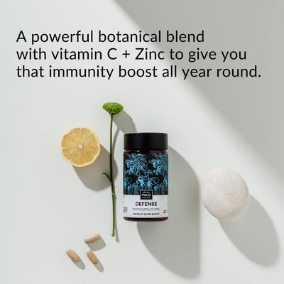 PALO Defense Wellness Formula Vitamins Herbal Blend - Immune System Support Supplement - with Elderberry, Vitamin C, Zinc, Echinacea, Astragalus, Andrographis- 90 Tabs