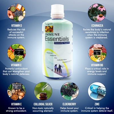 Wellgenix Immune Essentials - 12 in 1 Natural Immune System Support Supplement - Liquid Nutritional Multivitamin - Boosts Immune System and Overall Health For Kids Adults - Fruit Punch Flavor 32 oz