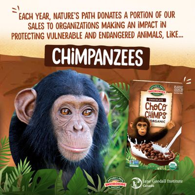 EnviroKidz Organic Choco Chimps Cereal, 10 lb (Pack of 1), Chocolate, Gluten Free, Non-GMO, Fair Trade, by Nature's Path