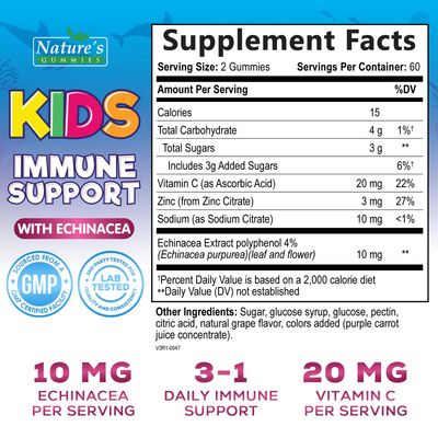 Kids Immune Support Gummies with Echinacea, Zinc Vitamin C - Berry Flavor Chewable Kids Immunity Gummy Support, Non-GMO Gluten-Free Vegan - Daily Childrens Vitamins with Immune Support - 120 Gummies