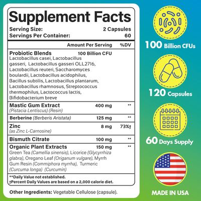 H. Pylori Defense Probiotics 100 Billion CFU - Lactobacillus Reuteri, Mastic Gum, Berberine, Zinc Carnosine, Green Tea, for Gastritis, Digestive Gut Health, Stomach Comfort, Vegan, 120 Capsules