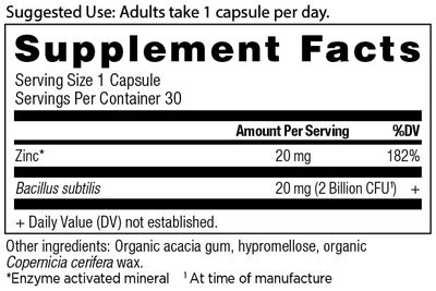 Ancient Nutrition Probiotics and Zinc Supplement, Supports Healthy Immune System and Gut Health, Made Without GMOs, Superfoods Supplement, Paleo and Keto Friendly, 30 Count