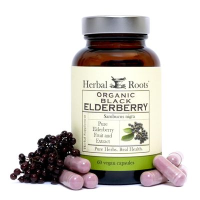 Herbal Roots Organic Black Elderberry Capsules Max Strength Made with Organic Sambucus 60 Vegan Capsules