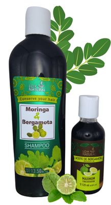 Bergamota Moringa Shampoo (13.50 fl oz) Bergamot Oil (Aceite de Bergamota 4.05 fl oz) Combo - Natural Ingredients - Premium Quality,