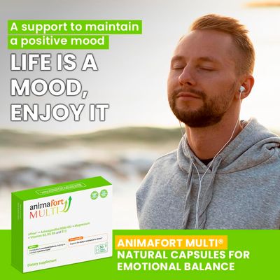 Ashwagandha KSM-66 Saffron Supplement Stress Relief, Mood Emotional Balance Vitamin B Magnesium Natural Pills for Mental Relaxation 30 Capsules AnimaFort Multi