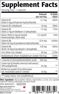 New Roots Herbal Ultra Zinc Immunity Formula 30 mg (90 Vegetable Capsules)