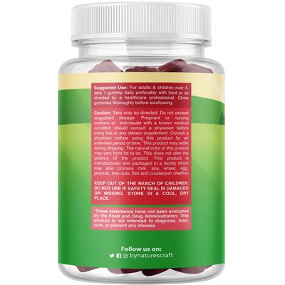 Natures Craft Sambucus Elderberry Gummies for Kids Health - Delicious Black Elderberry Gummies with Zinc and Vitamin C for Kids Immune Support - Gelatin and Gluten Free Non-GMO Immunity Support 90