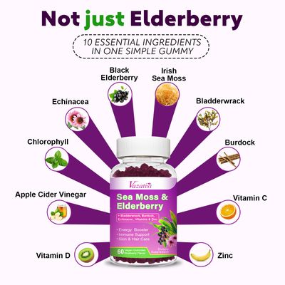 2 Pack Elderberry Gummies with Sea Moss, Extra Strength Elderberry with Vitamin C, Zinc for Immune Support for Adults, Kids, Women Men, Blueberry Flavor 120Cts