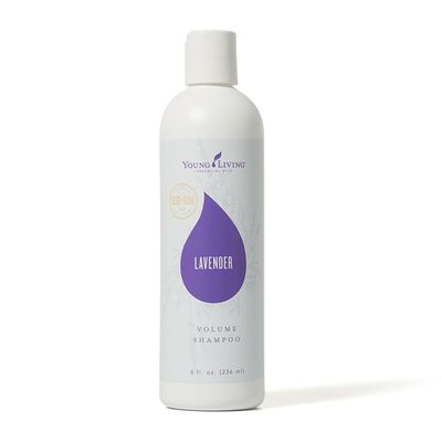 Young Living Lavender Volume Shampoo, 8 fl oz - Nourishes Hair from Root to Tip for Body Shine Lightweight, Silicone-Free Healthy, Soft Smooth