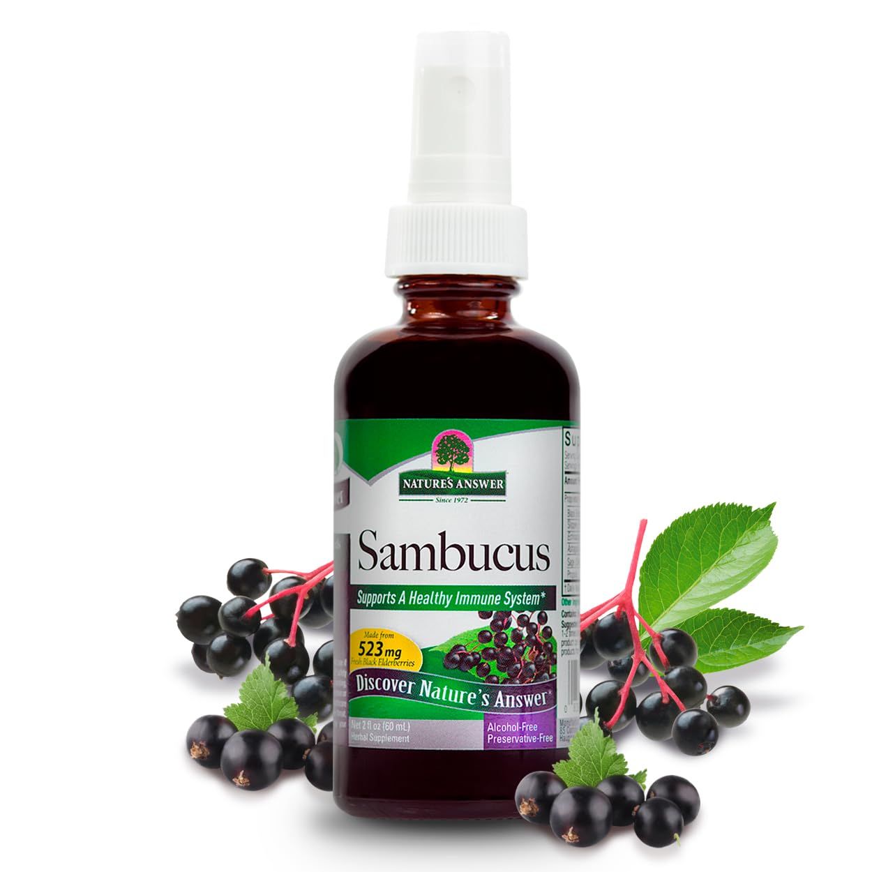 Nature&#39;s Answer Alcohol-Free Sambucus Extract Spray, 2-Ounces Immune System Support Vegan, Gluten-Free, No Artificial Flavors or Preservatives Single Count