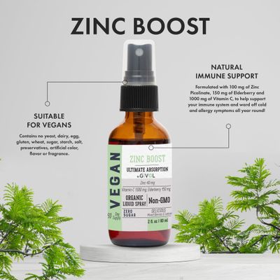 GIVOL Organic ZINC Boost Mist 40 mg (Extra Strength) - Sugar Free with Vit C and Elderberry Extract - Vegan Liquid Spray for Kids and Adults - Easy Absorption - Non-GMO - (60 ml) 60 Days Supply