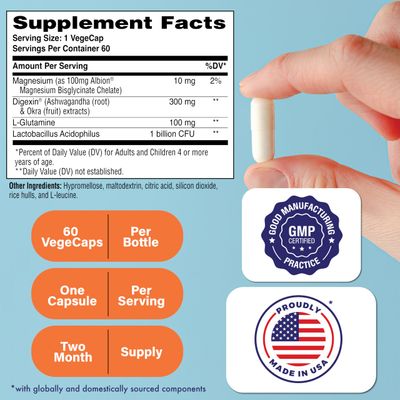 Health Thru Nutrition Mindful GI - Healthy Mind Gut Complex with Digexin, Magnesium, L-Glutamine, and Probiotic for Gut-Brain Axis Support Regularity, Bloating, Calmness Supplement