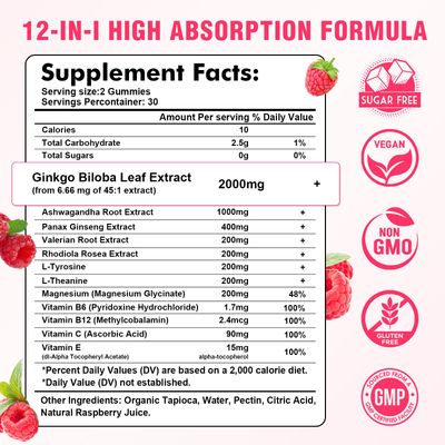 Sijigood 2 Pack Ginkgo Biloba Gummies with Panax Ginseng and Magnesium, Ginkgo Biloba Supplements for Focus, Memory, and Brain Health for Adults Kids, Vegan Raspberry Flavor Gummies, 120 Count