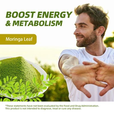 Catfit Moringa Powder - Superfood Blend with Matcha, Green Tea Resveratrol - Moringa Supplement for Energy, Antioxidant Immune Support - Vegan, Gluten Free, Easy-to-Mix Drink (8oz)