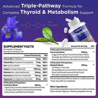 Thyroid Support Supplement for Women Men - Professional T4, T3, T2 Triple-Pathway - Metabolism Energy - with L-Tyrosine, Selenium, Ashwagandha Guggul Extract - Standardized Herbs - 60 Capsules