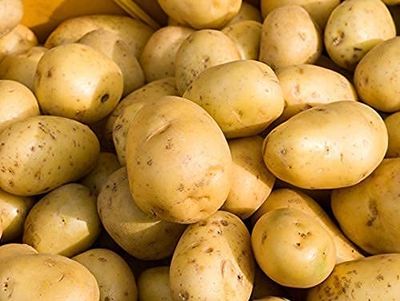 Yukon Gold Potatoes for Pl nt ng - Potato S ds -2 Lbs, Heirloom, Non-GMO