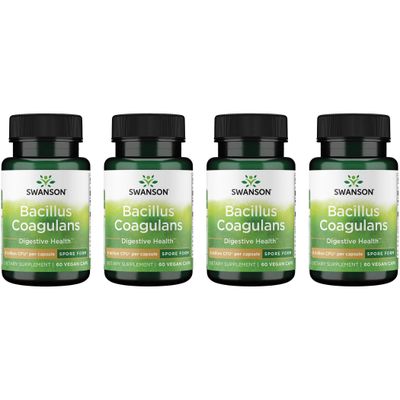 Swanson Bacillus Coagulans - Natural Probiotic Supplement Supporting Digestive Health w 6 Billion CFU - May Support GI Overall Gut Health - (60 Veggie Capsules) (4 Pack)