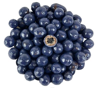 Milk Chocolate Covered Blueberries, 1 Pound