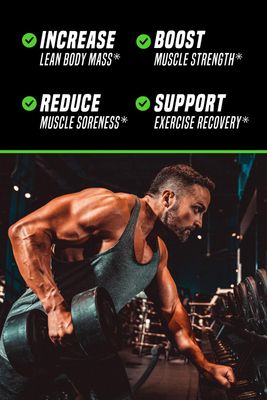 Outwork Nutrition Recovery Supplement, Post Workout Recovery Powder Muscle Builder for Men and Women, Recharge Muscles After Gym, Backed by Science, Green Apple, 240 Gr