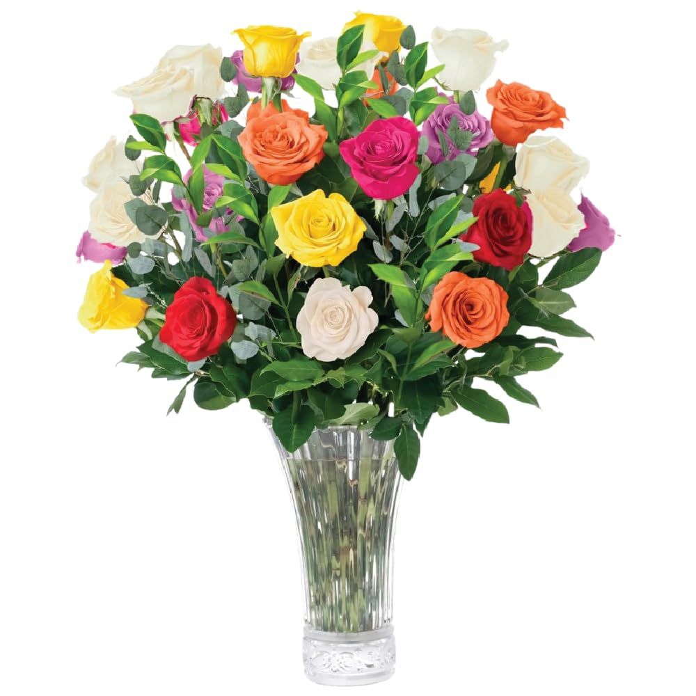 Aquarossa Farms - 24 Assorted Roses, Fresh Flowers for Delivery, Flower Fresh Bouquet, Gift Idea for Graduation, Birthday, Anniversary and Special Occasions