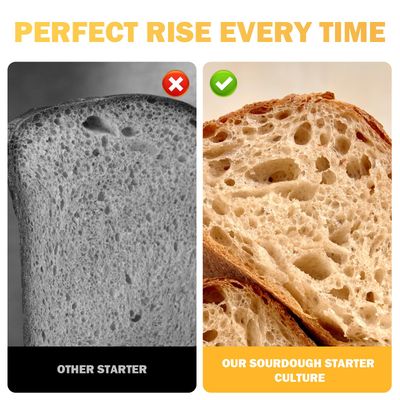 Dehydrated Sourdough Starter San Francisco Style, Fast Activation Sourdough Starter Culture, Sour Dough Starter Homemade Artisan Bread for Beginner (10G)