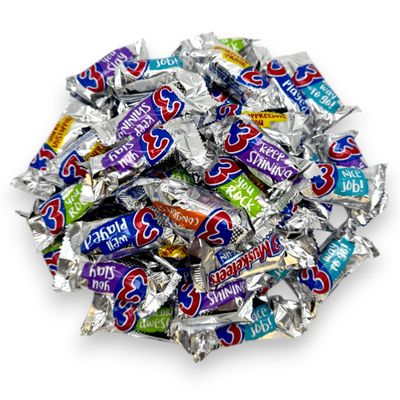 3 Musketrs Fun Size Milk Chocolate Candy Bars-1.5 lbs Individually Wrapped Rich and Creamy Milk Chocolate Bars-Perfect for Sharing and Snacking, Ideal for Parties and Events(24 oz)