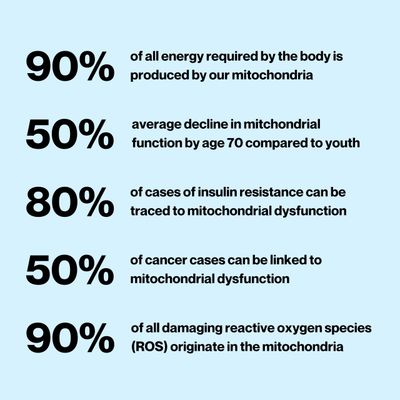 Mitochondrial Health Longevity Supplement for Cellular Nutrition and Healthy Aging Promotes Mitochondria ATP Energy with CoQ10, Resveratrol Green Coffee Extract Made in USA 3rd Party Tested