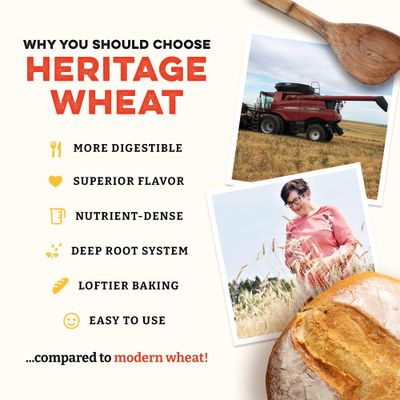 Sunrise Flour Mill Heritage Organic Bread Flour Blend - 5 lbs Organic Unbleached Bread Flour Easy to Digest with Less Bloating High Protein Bread Flour for Superior Baking Smooth, Nutty Flavor