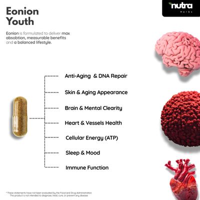 NutraHerbs - NAD CoQ10 PQQ and Shilajit -Superior Bioavailable - Cellular Longevity, Mitochondrial Energy, Heart Brain and Healthy Aging - Nicotinamide Riboside, Ubiquinol - 60 Days Vegan Supply