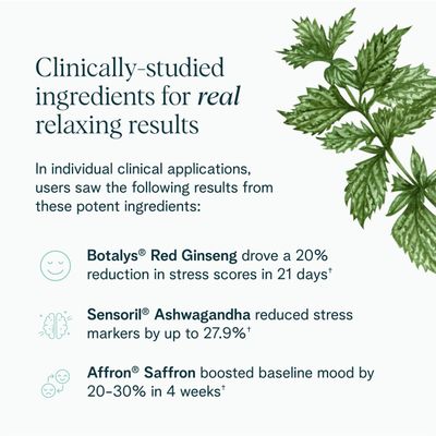 Ora Organic - Stress Relief Supplement - Supports Mood Mental Focus - Feel Calm Relaxed - Sensoril Ashwagandha, Saffron, Ginseng, L-Theanine, Lemon Balm - 60 Capsules