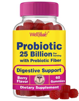 WellYeah 25 Billion Probiotics Prebiotics Gummies - 12 Strains - Digestive Support, Gut Health, Immune Support Gummy - for Men and Women - Probiotics for Digestive Health - 60 Gummies