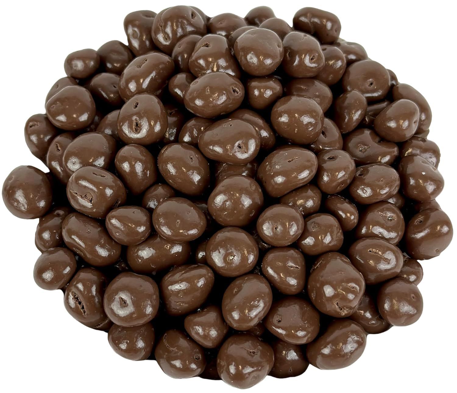 No Sugar Added Milk Chocolate Raisins, 1 Pound
