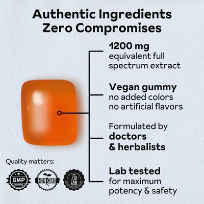 Reprise Goji Berry Superfood Gummies - All-Natural Antioxidant, Digestion, 240 mg Full-Potency, Low-Sugar, Vegan, 45 Blueberry Flavored Gummies