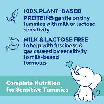 Good Start Dr. Brown's Soy-ease Pro Baby Formula Powder, for Sensitive Tummies, Dairy Free and Lactose Free for Fussiness and Gas, Non-GMO, 20 Oz