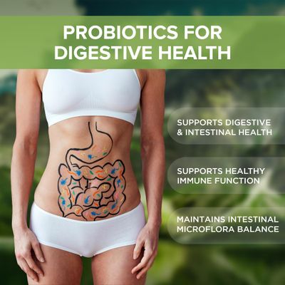 Probiotics for Digestive Health Supplement 240 Tablets 3 Billion CFU Made in The USA (240, Digestive Probiotics)